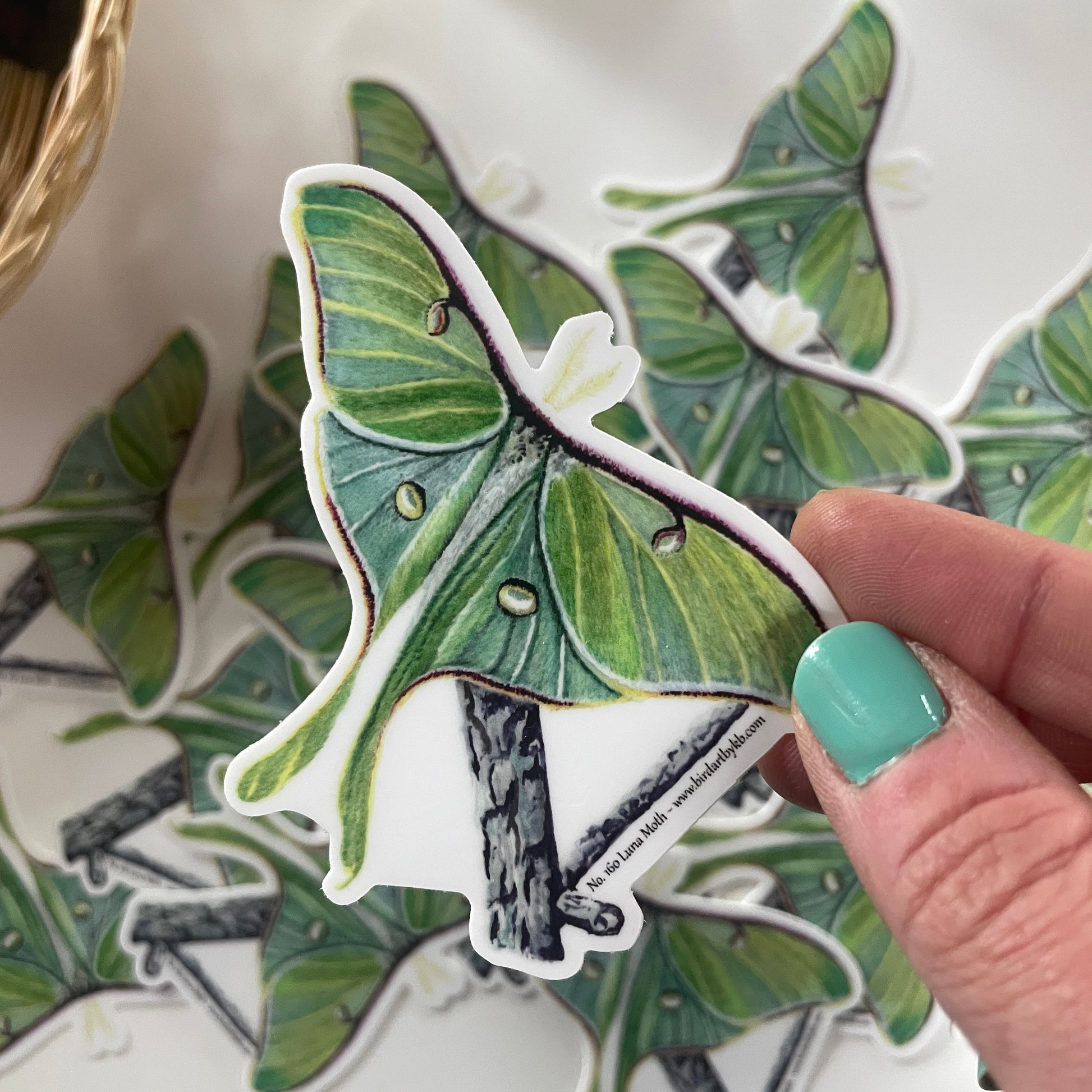 Luna Moth - Bird Art by KB - Sticker