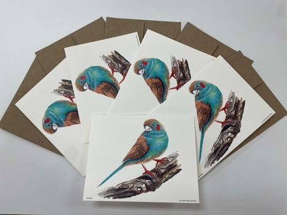 Red-cheeked Cordon Bleu - Bird Art by KB - Notecard Set