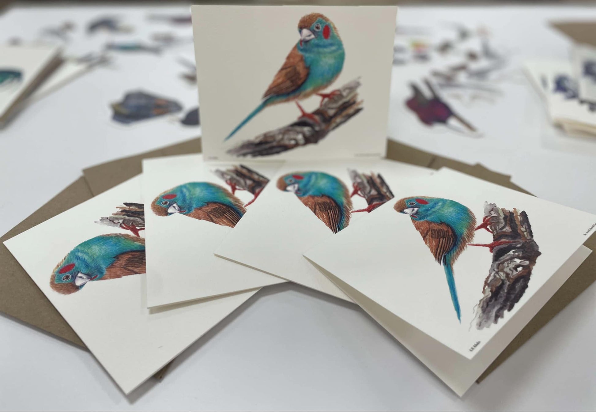 Red-cheeked Cordon Bleu - Bird Art by KB - Notecard Individual