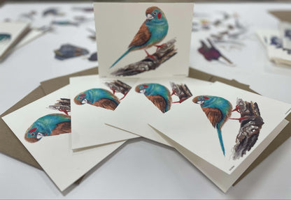 Red-cheeked Cordon Bleu - Bird Art by KB - Notecard Individual