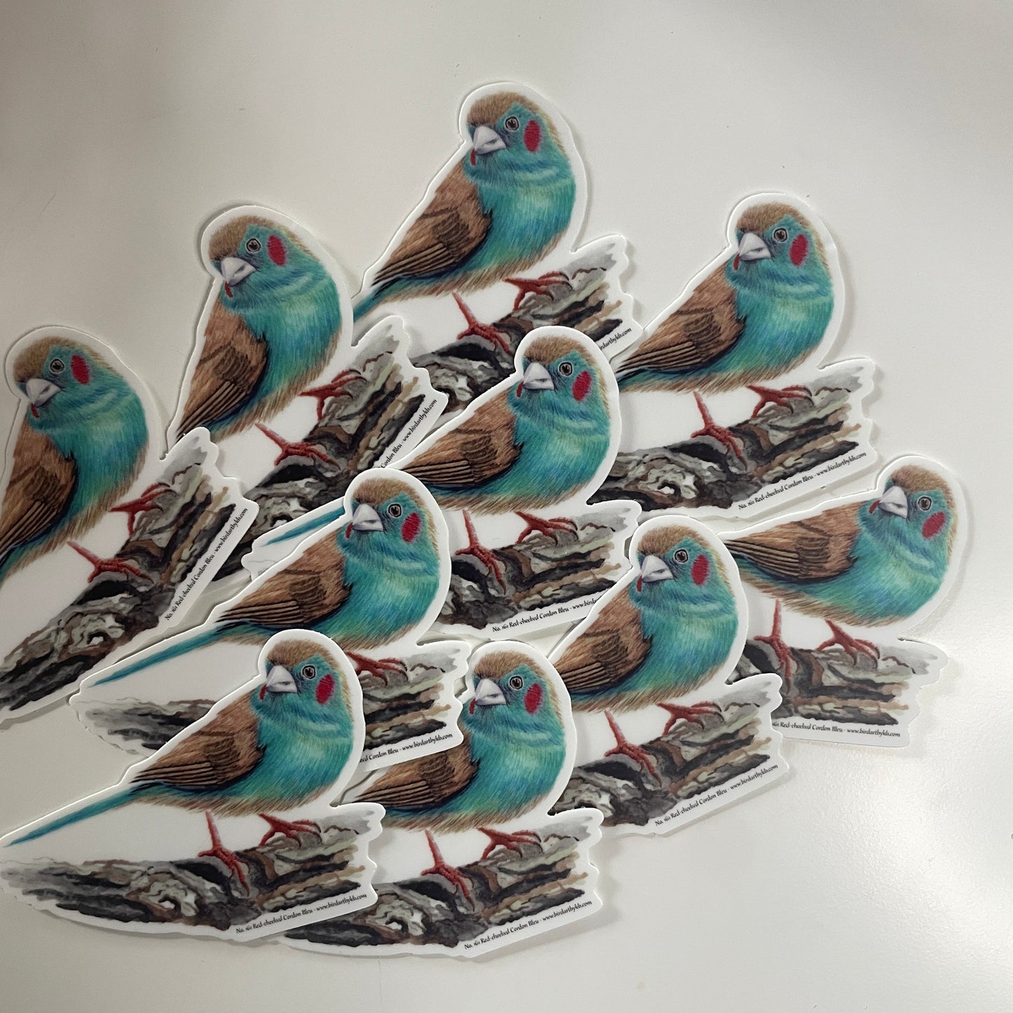 Red-cheeked Cordon Bleu - Bird Art by KB - Sticker