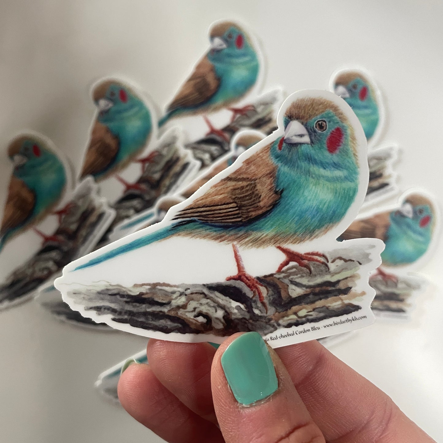 Red-cheeked Cordon Bleu - Bird Art by KB - Sticker
