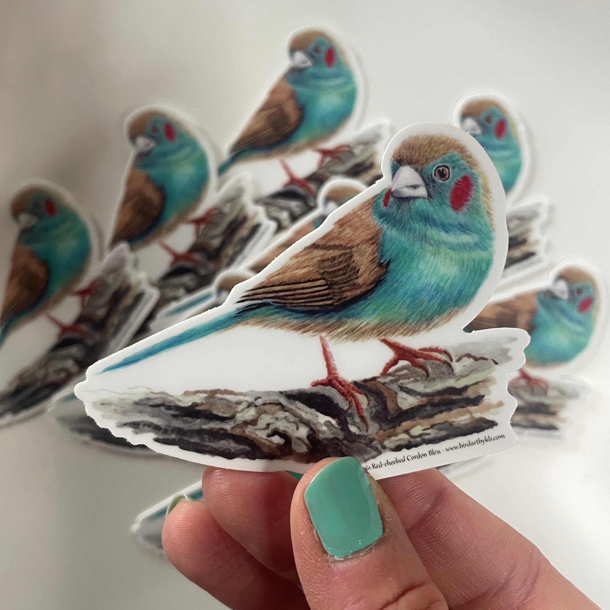 Red-cheeked Cordon Bleu - Bird Art by KB - Sticker