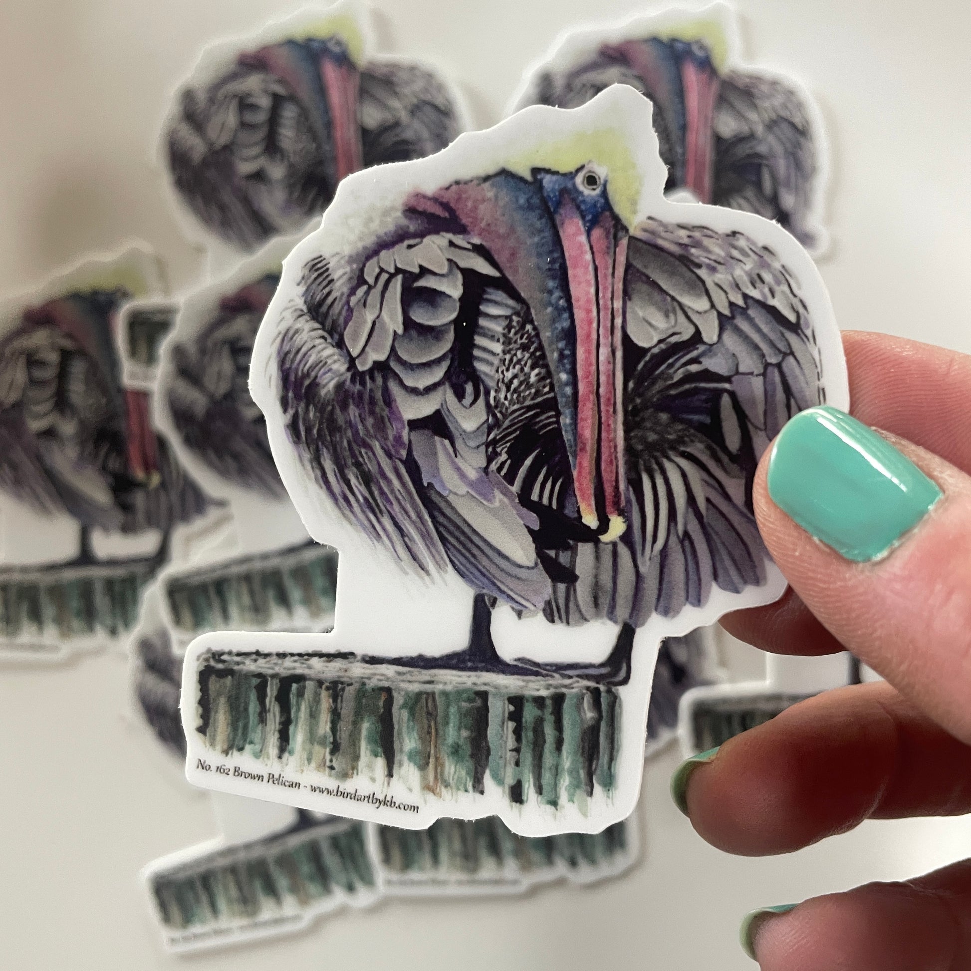 Brown Pelican - Bird Art by KB - Sticker