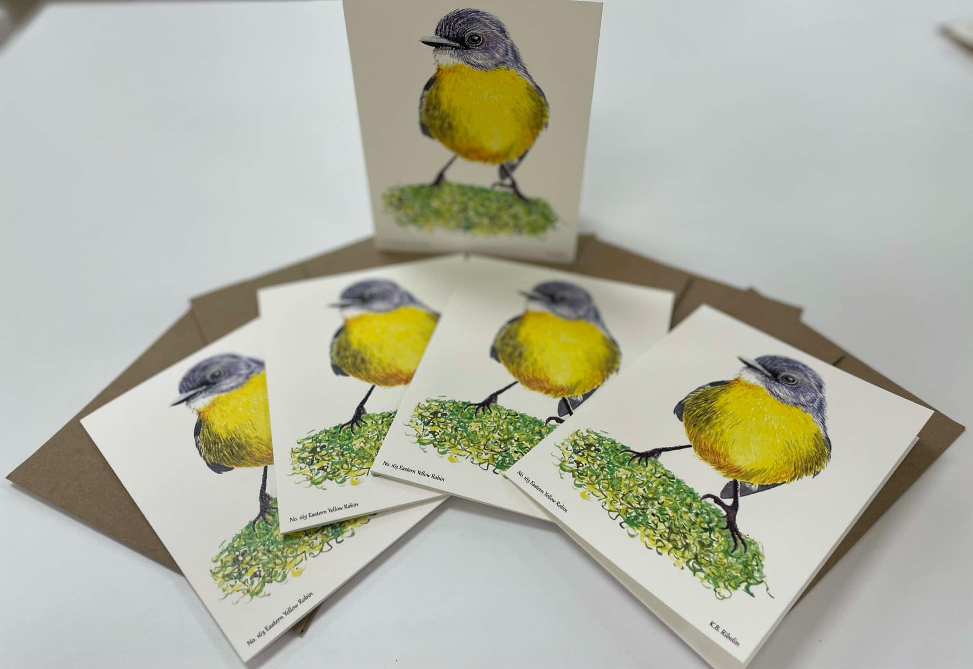 Eastern Yellow Robin - Bird Art by KB - Notecard Individual