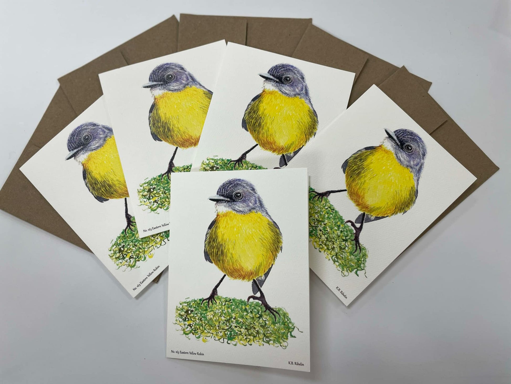 Eastern Yellow Robin - Bird Art by KB - Notecard Set