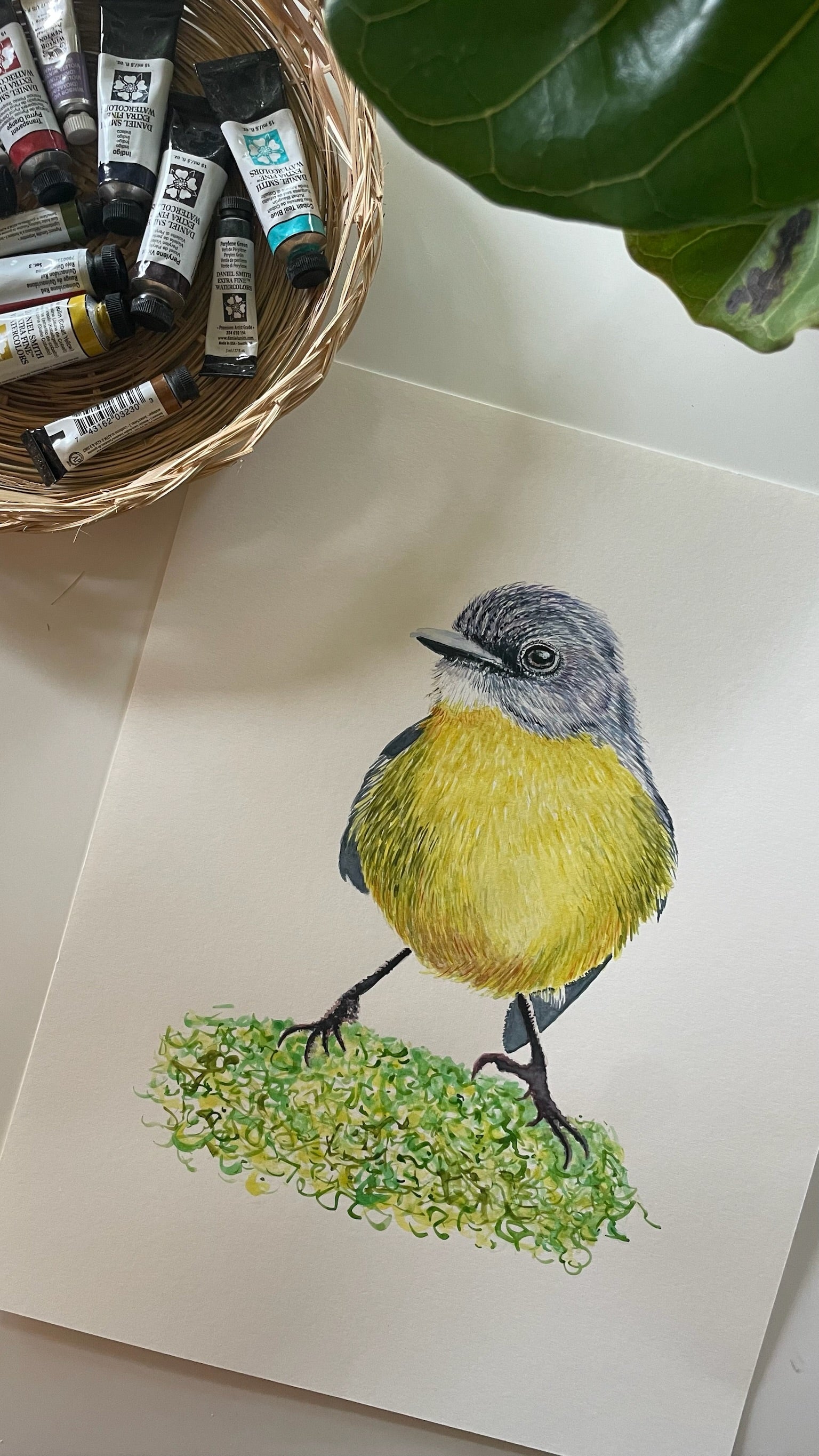 Eastern Yellow Robin - Bird Art by KB - Original