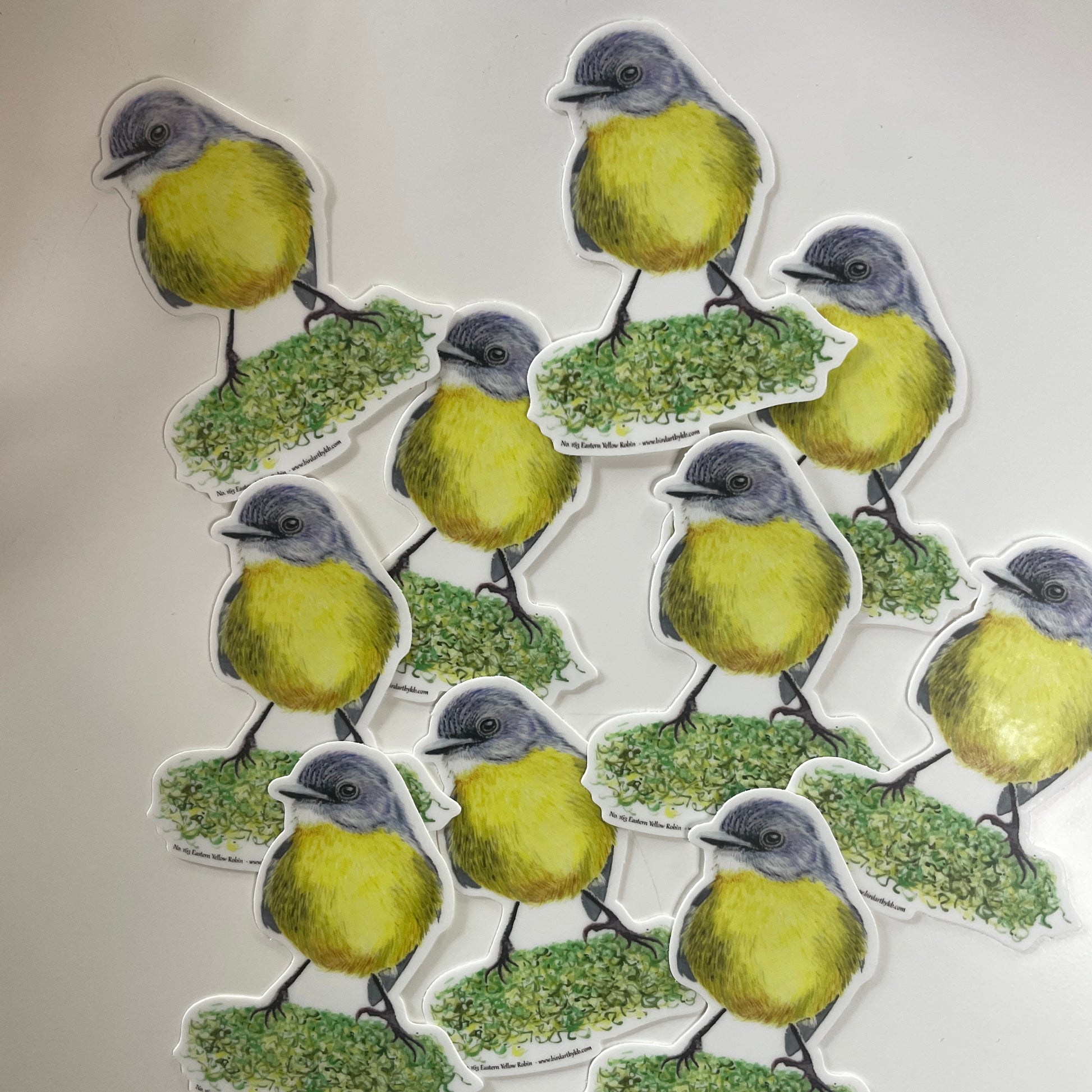 Eastern Yellow Robin - Bird Art by KB - Sticker
