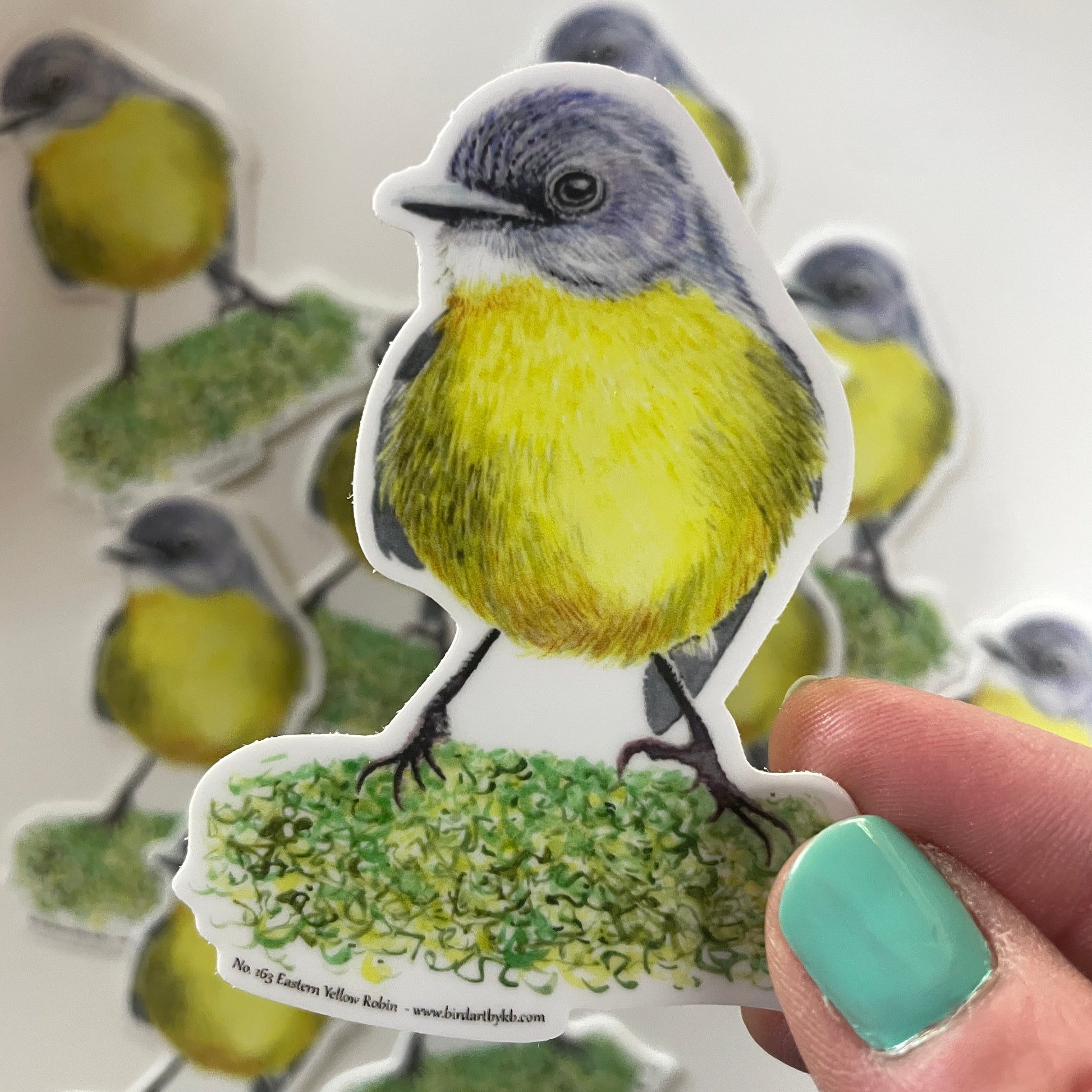 Eastern Yellow Robin - Bird Art by KB - Sticker