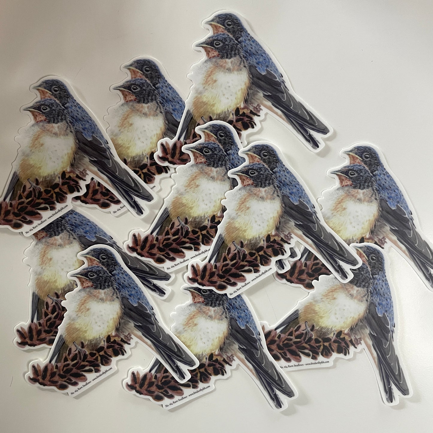 Barn Swallows - Bird Art by KB - Sticker
