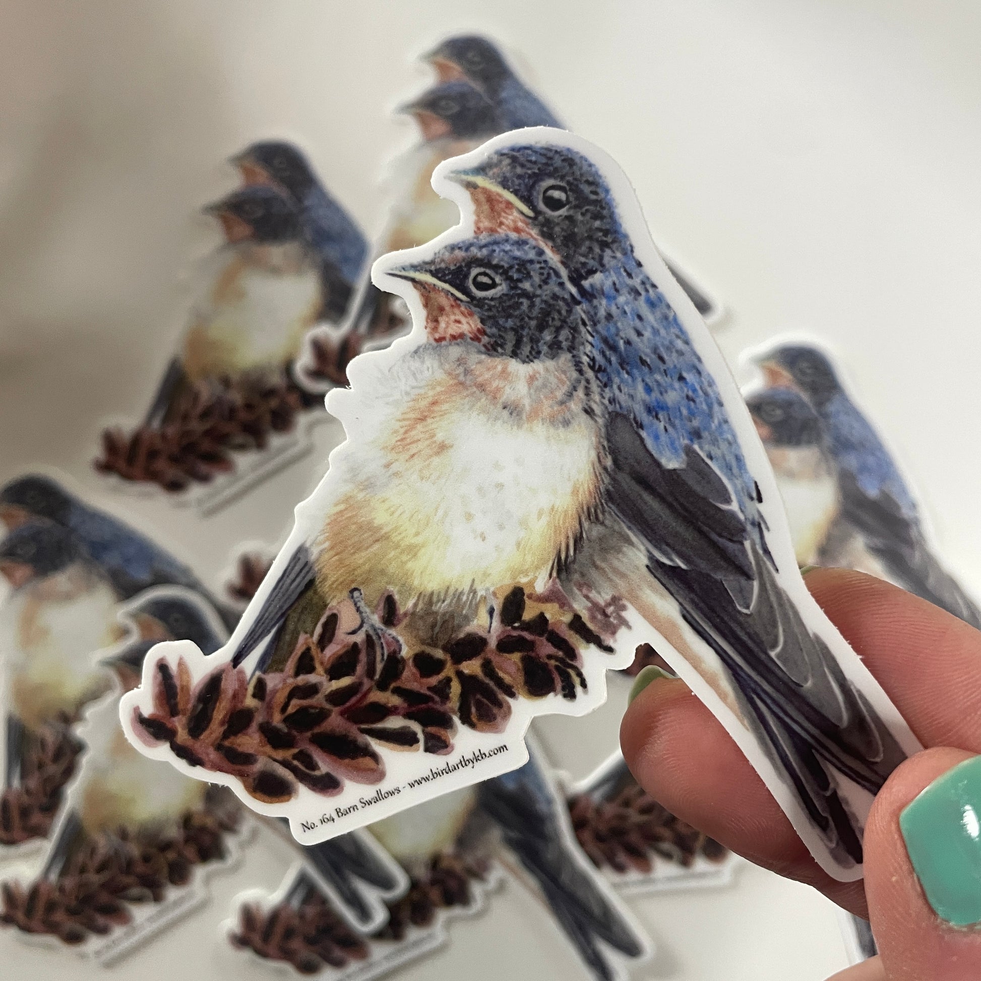 Barn Swallows - Bird Art by KB - Sticker