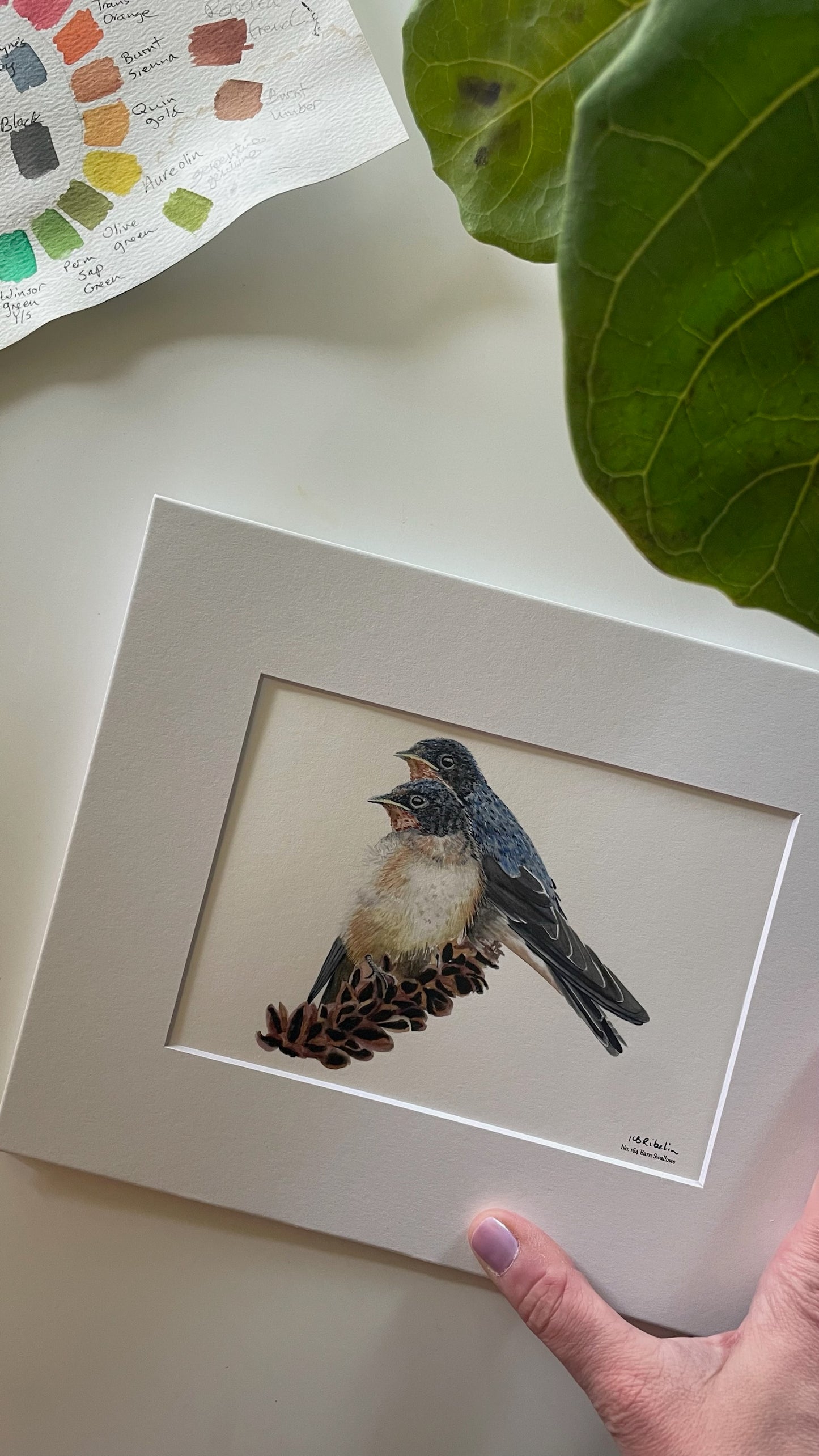 Barn Swallows - Bird Art by KB - Giclee Print with White Mat