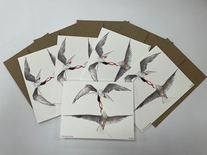 Common Terns Flying - Bird Art by KB - Notecards
