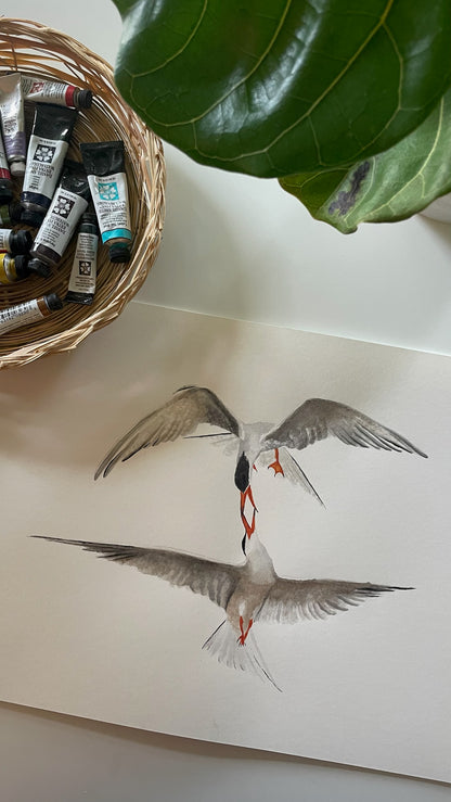 Common Terns Flying - Bird Art by KB - Original