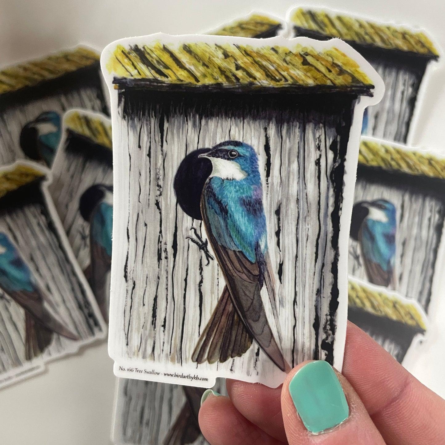Tree Swallow - Bird Art by KB - Sticker