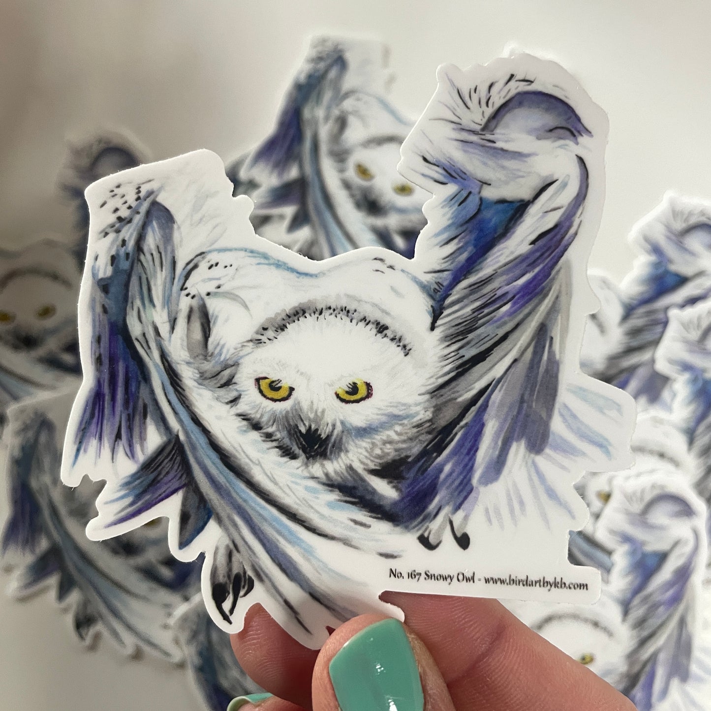 Snowy Owl - Bird Art by KB - Sticker