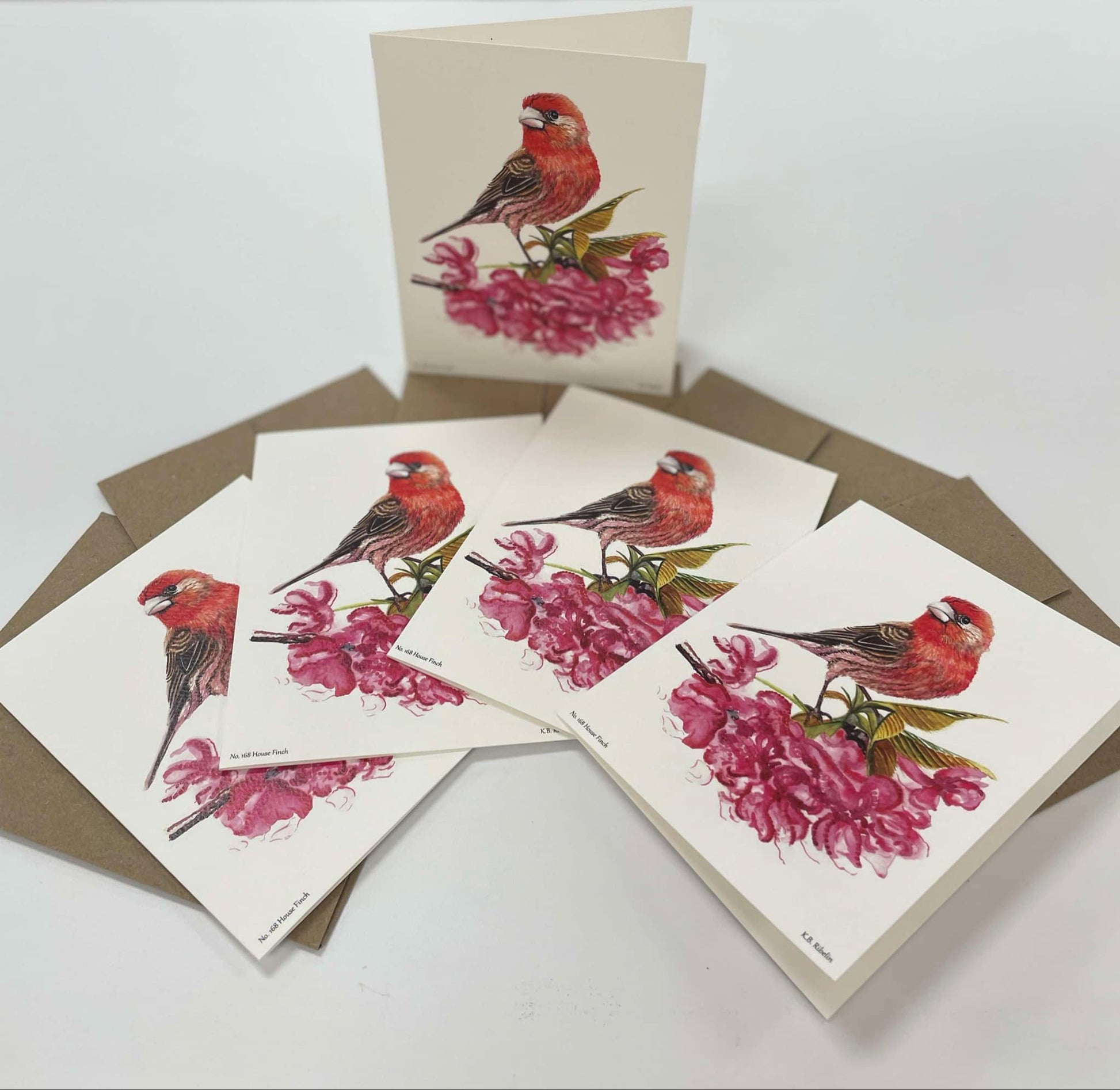 House Finch - Bird Art by KB - Notecard Individual