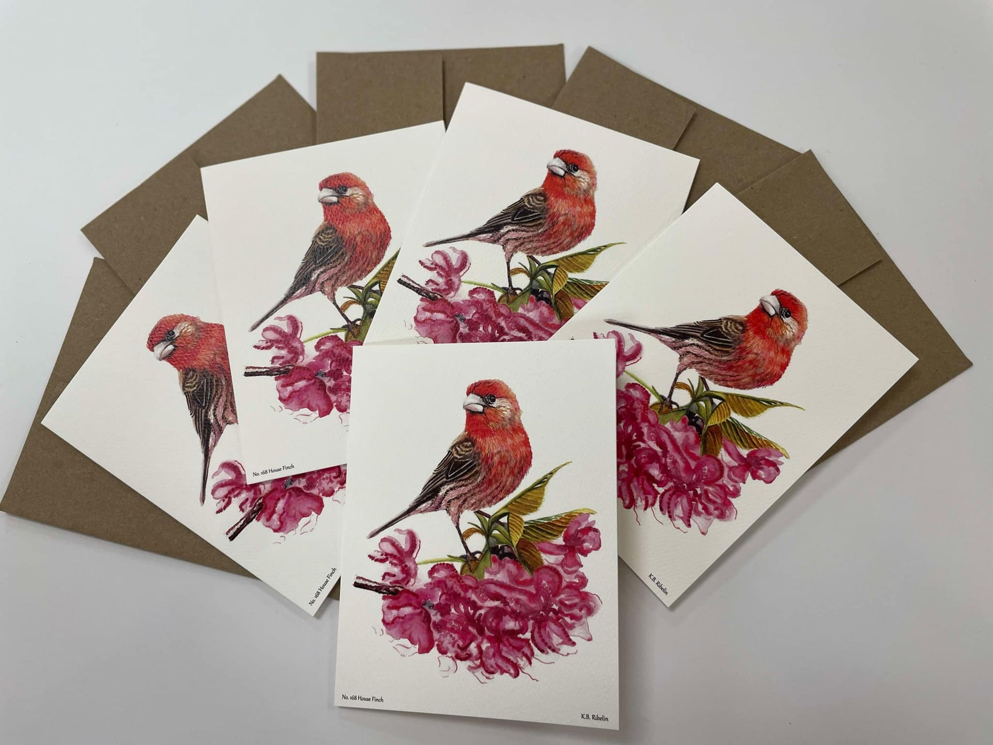 House Finch - Bird Art by KB - Notecard Set