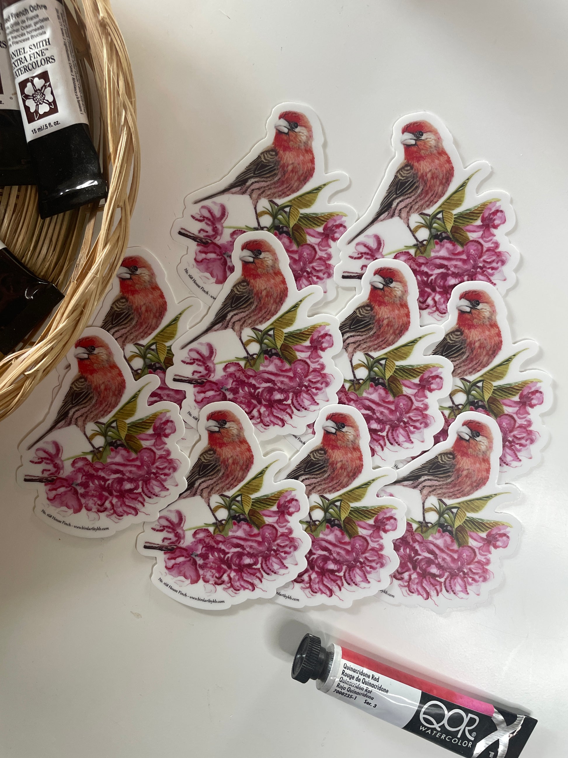 House Finch - Bird Art by KB - Sticker