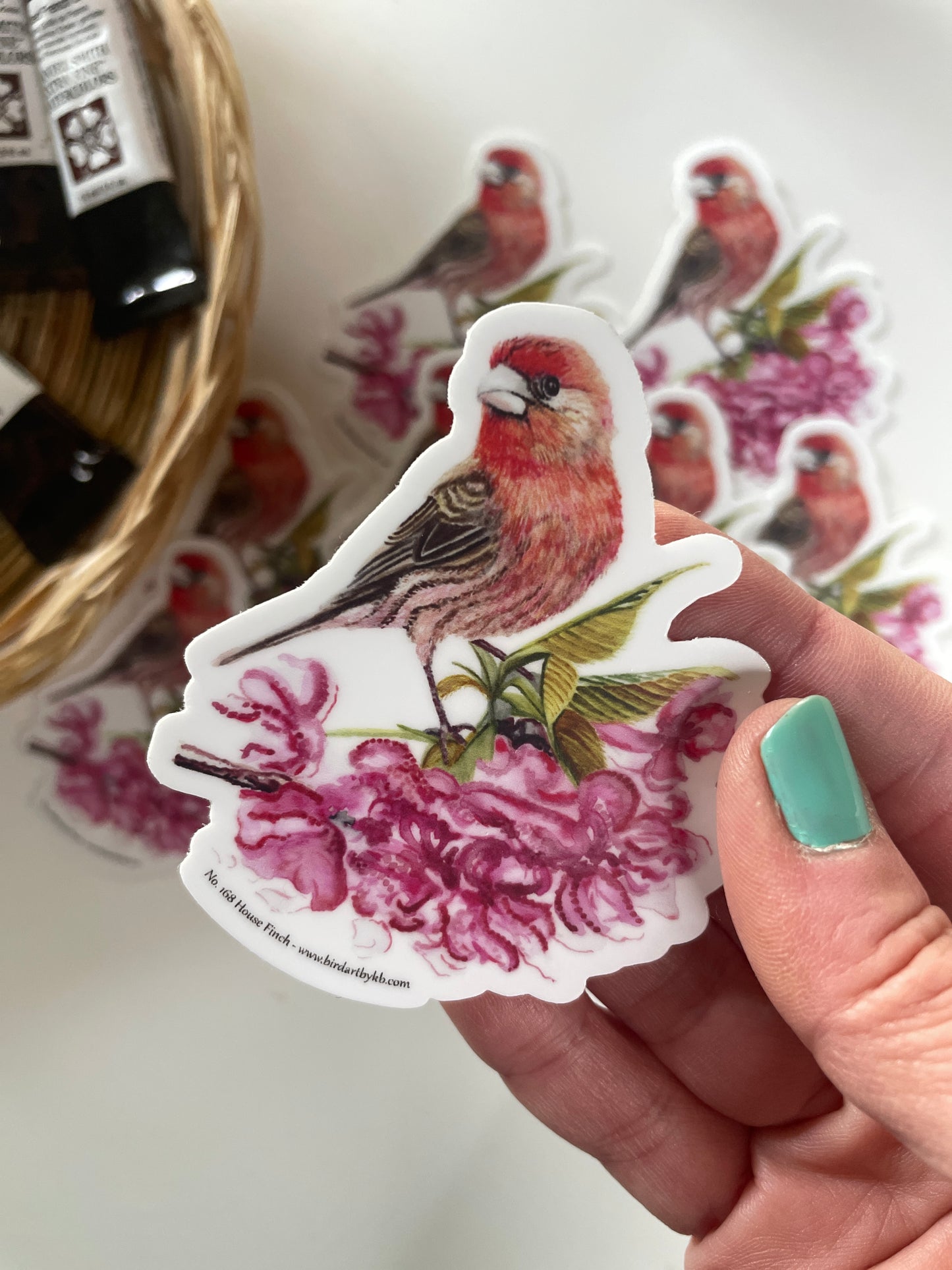 House Finch - Bird Art by KB - Sticker