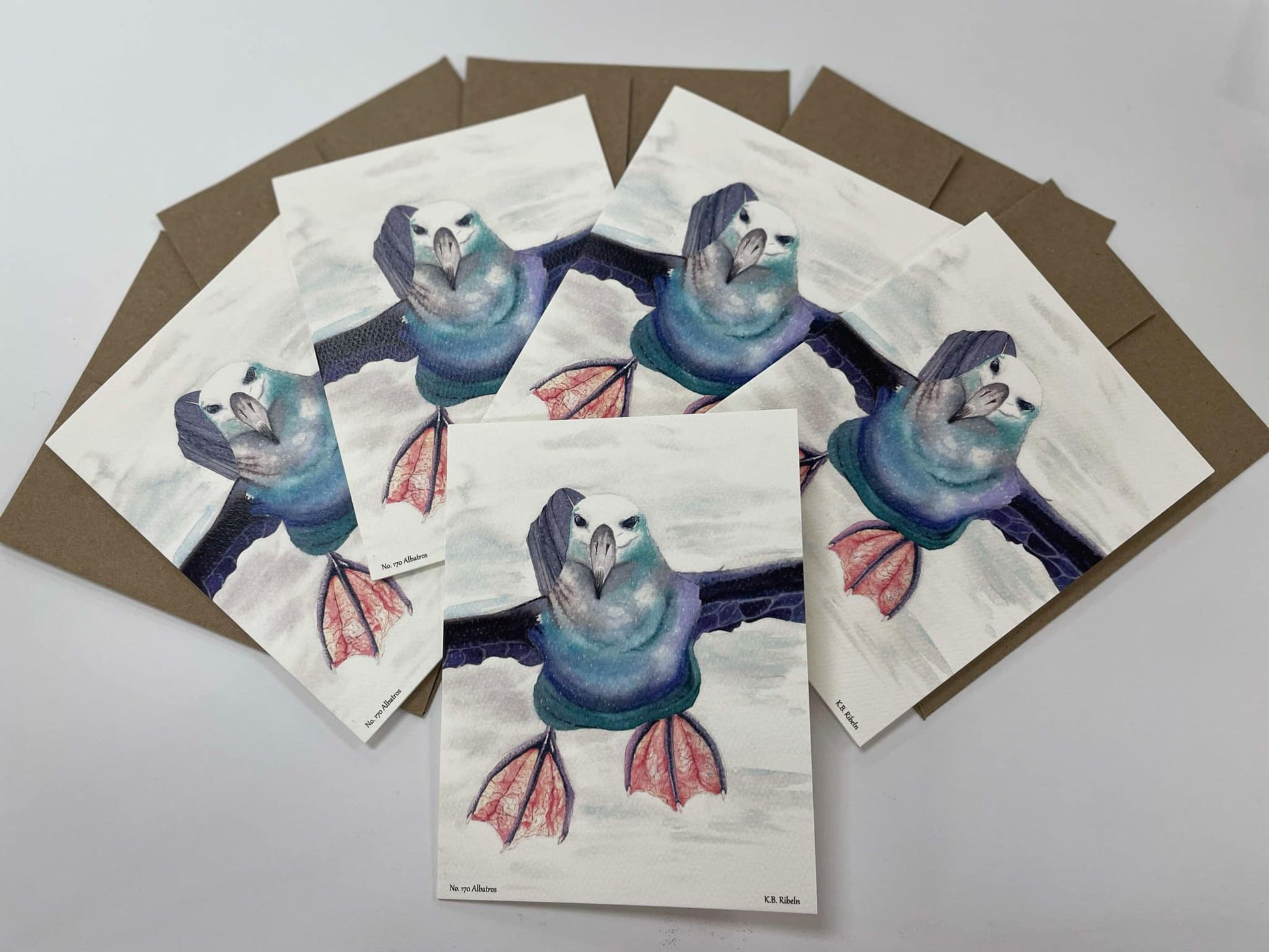 Albatross - Bird Art by KB - Notecard Set