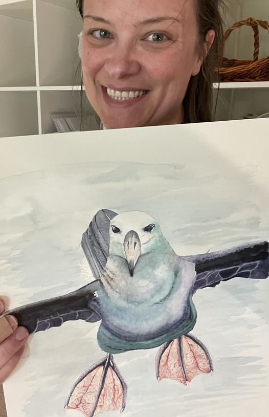 Albatross - Bird Art by KB - Original