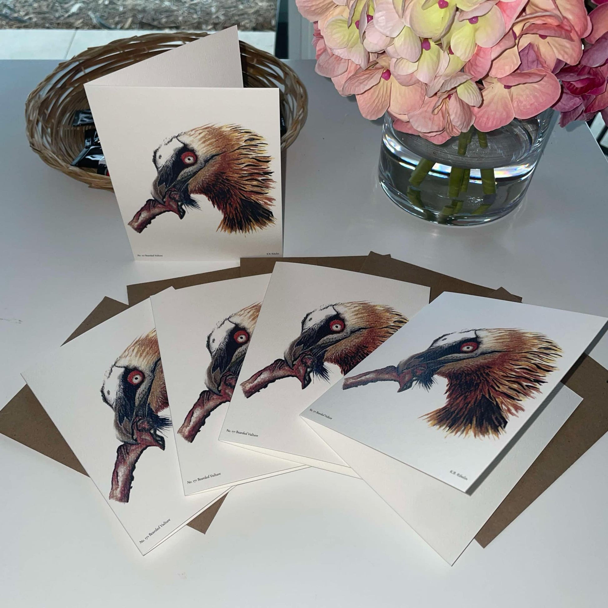 Bearded Vulture - Bird Art by KB - Notecard Individual