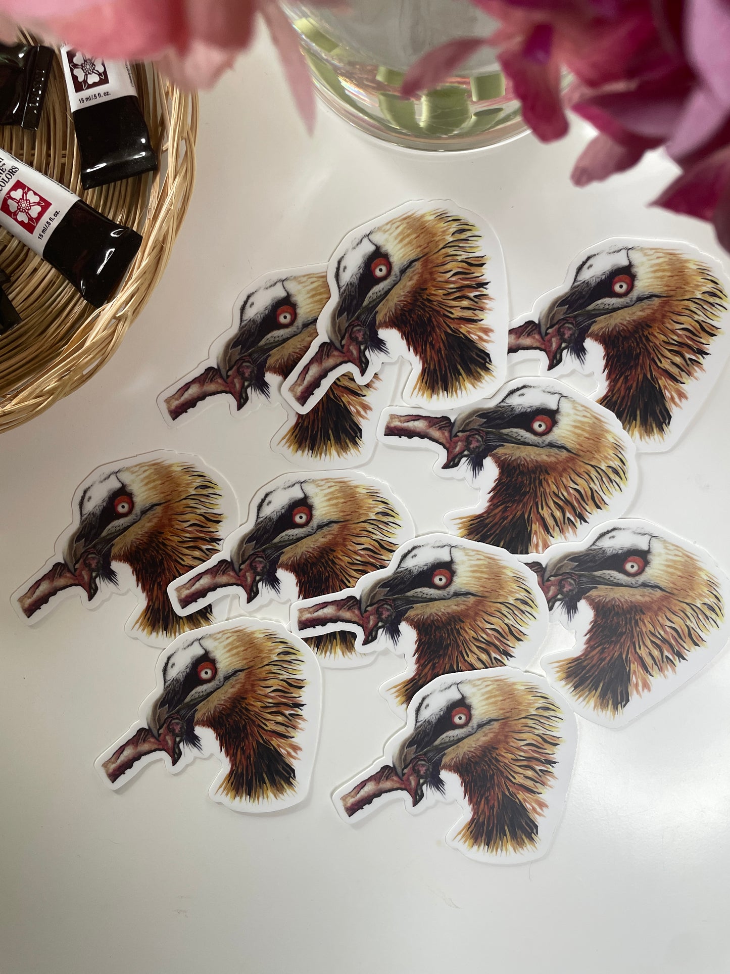 Bearded Vulture - Bird Art by KB - Sticker