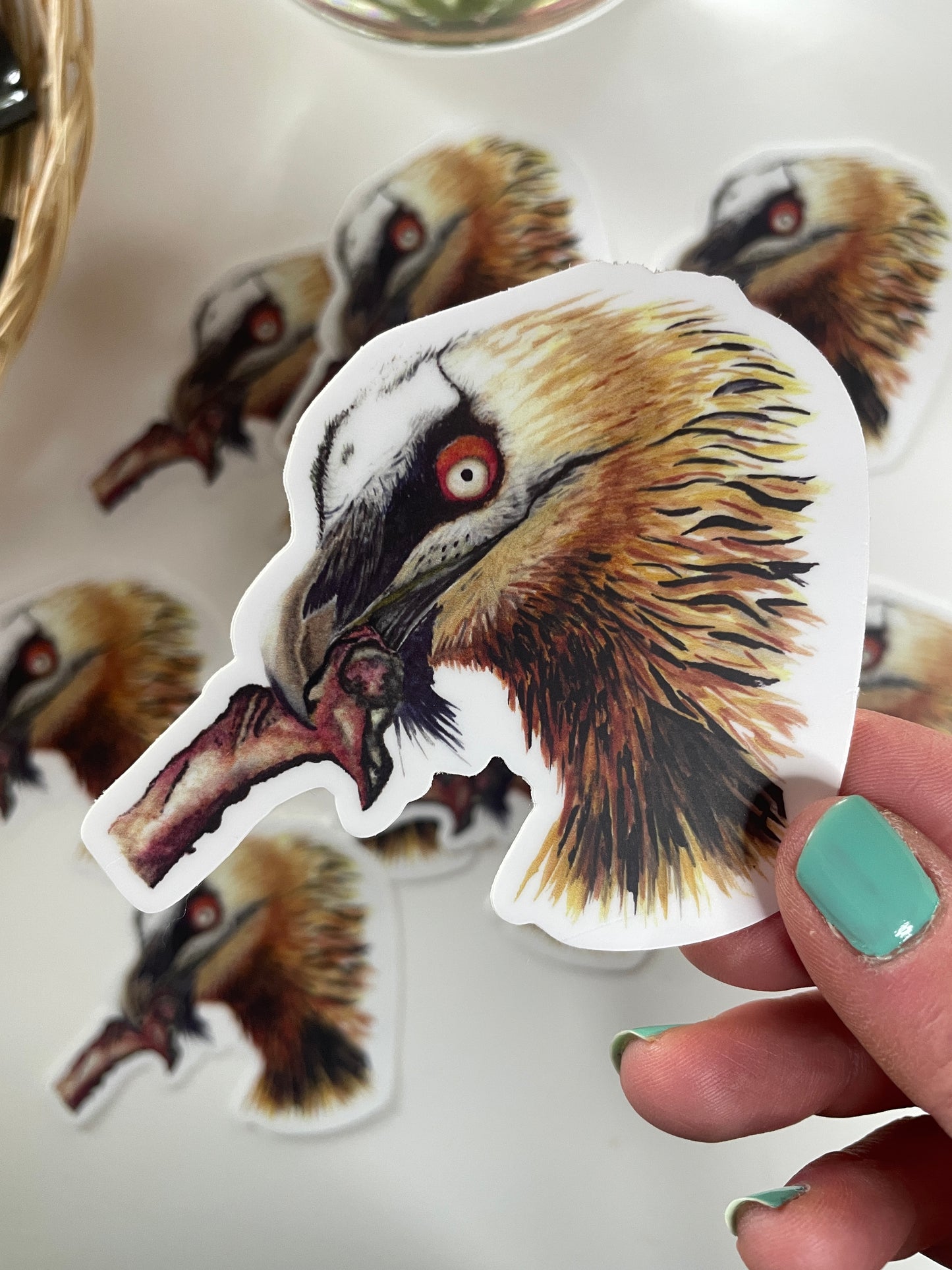 Bearded Vulture - Bird Art by KB - Sticker