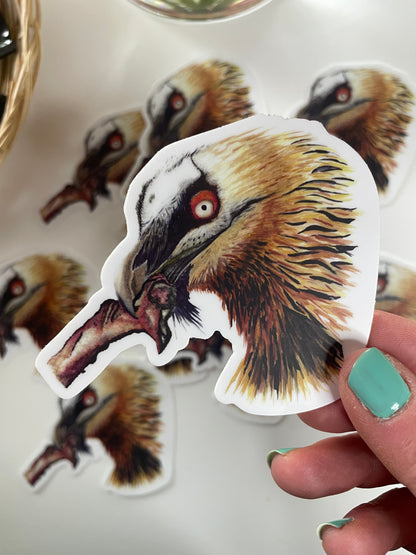 Bearded Vulture - Bird Art by KB - Sticker