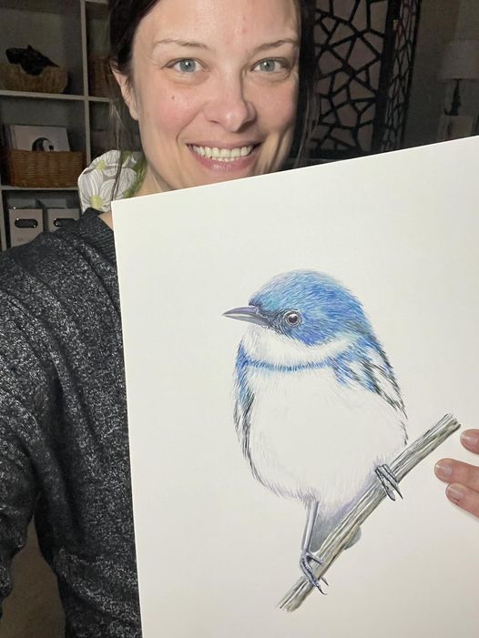 Cerulean Warbler - Bird Art by KB - Original