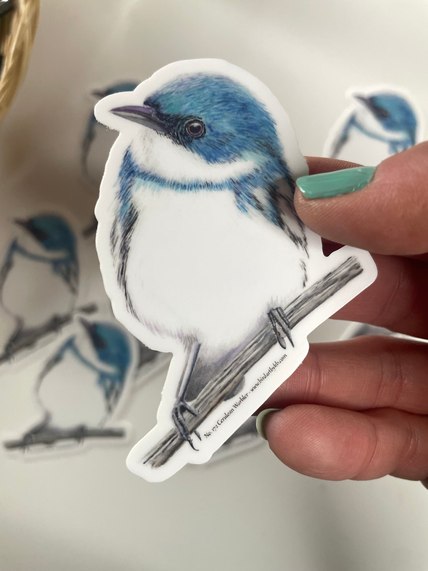 Cerulean Warbler - Bird Art by KB - Sticker
