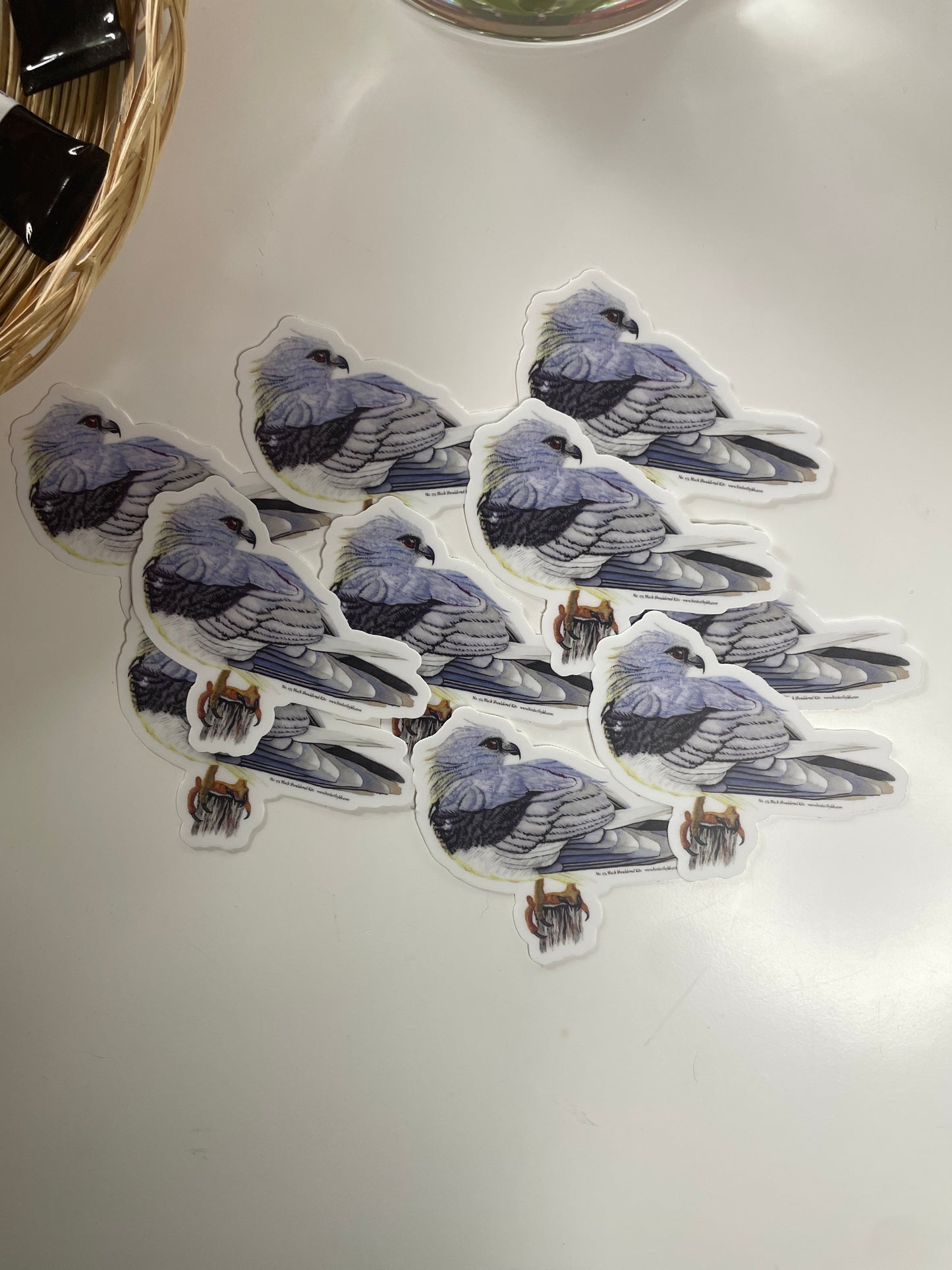 Black-shouldered Kite - Bird Art by KB - Sticker