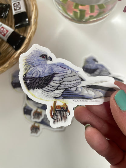 Black-shouldered Kite - Bird Art by KB - Sticker