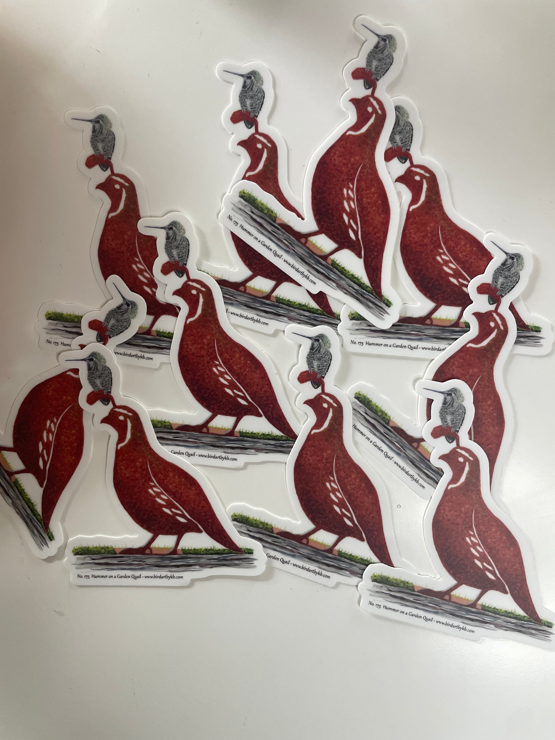 Hummer on a Garden Quail - Bird Art by KB - Sticker