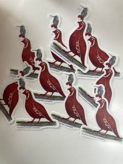 Hummer on a Garden Quail - Bird Art by KB - Sticker