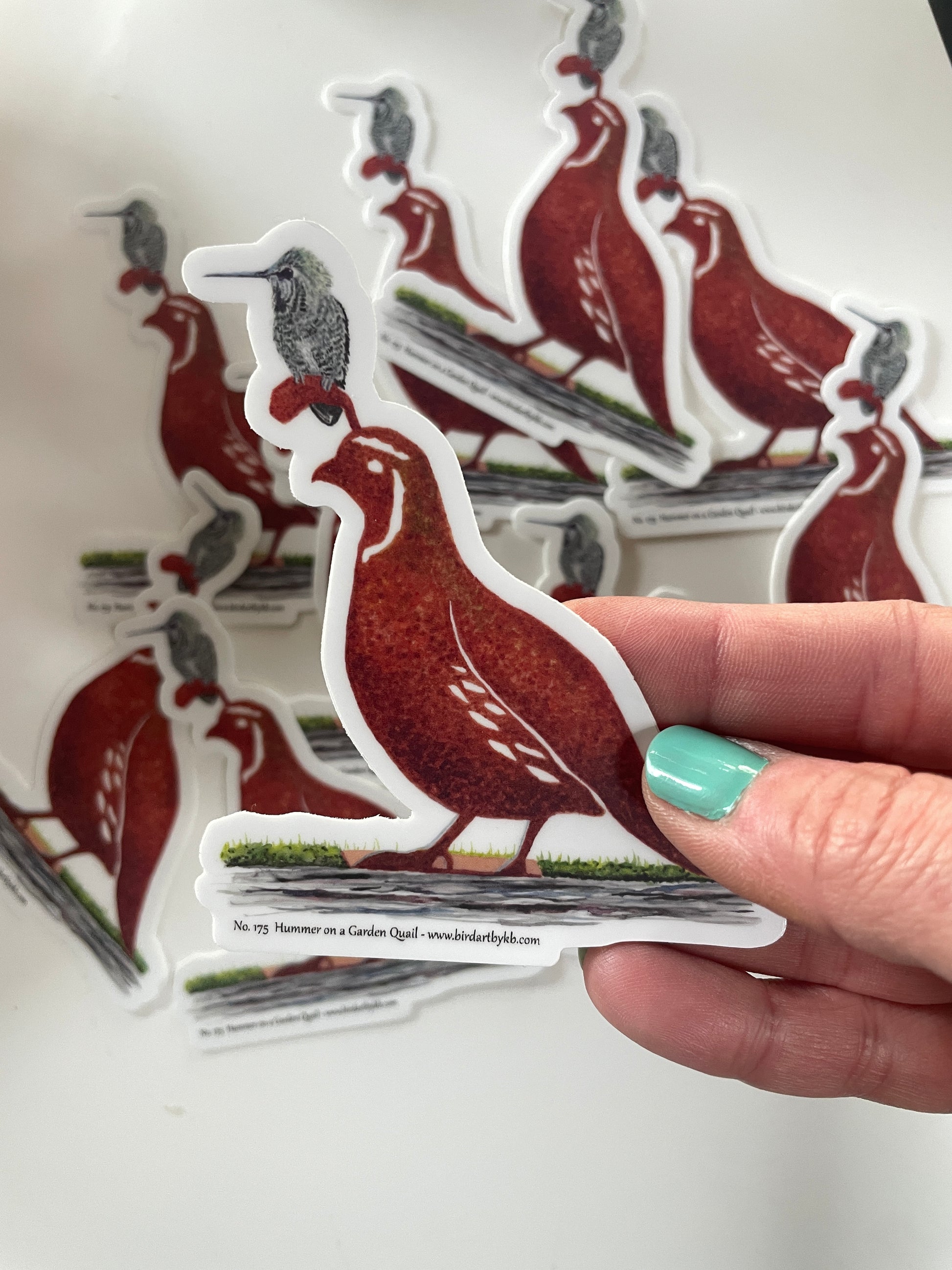 Hummer on a Garden Quail - Bird Art by KB - Sticker