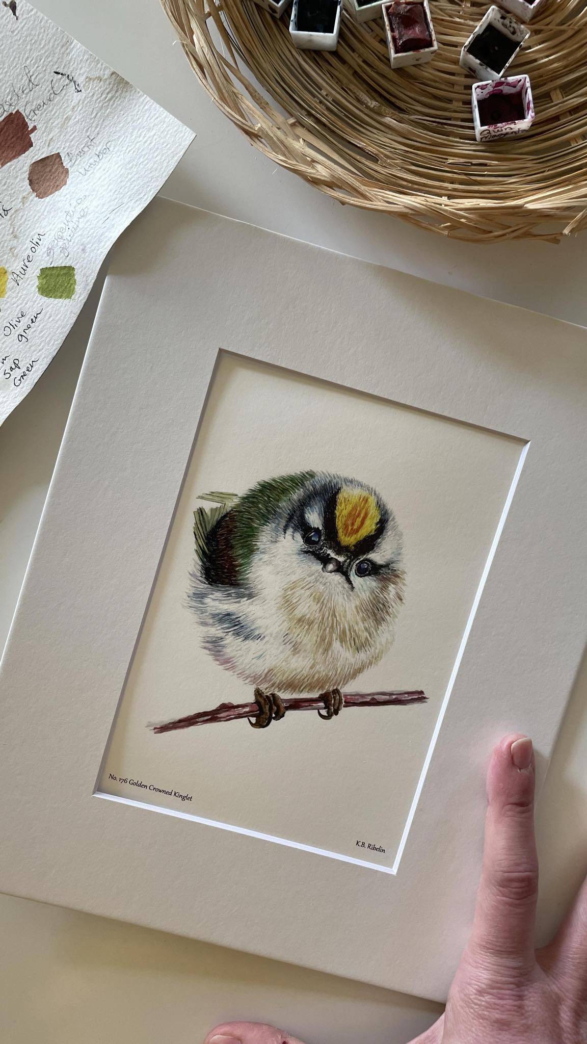 Golden-crowned Kinglet - Bird Art by KB - Giclee Print with White Mat