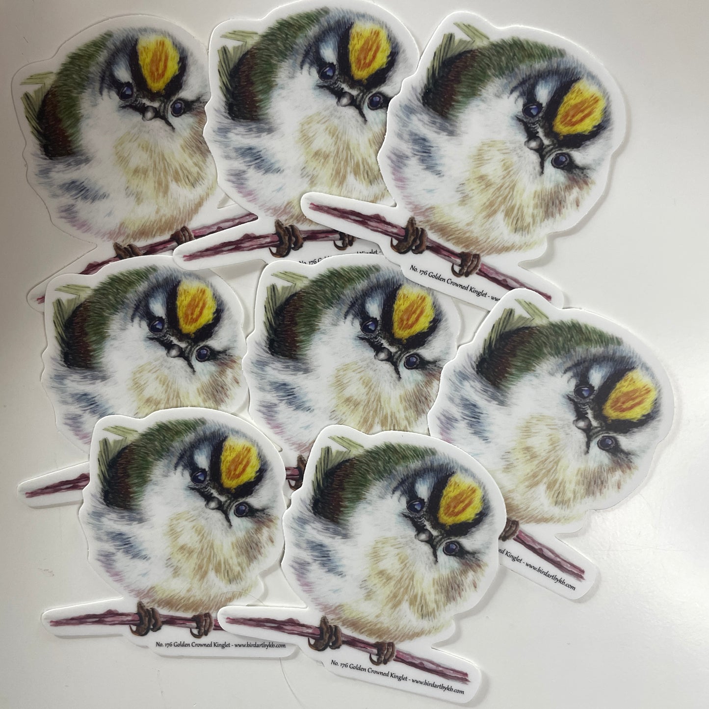 Golden-crowned Kinglet - Bird Art by KB - Sticker