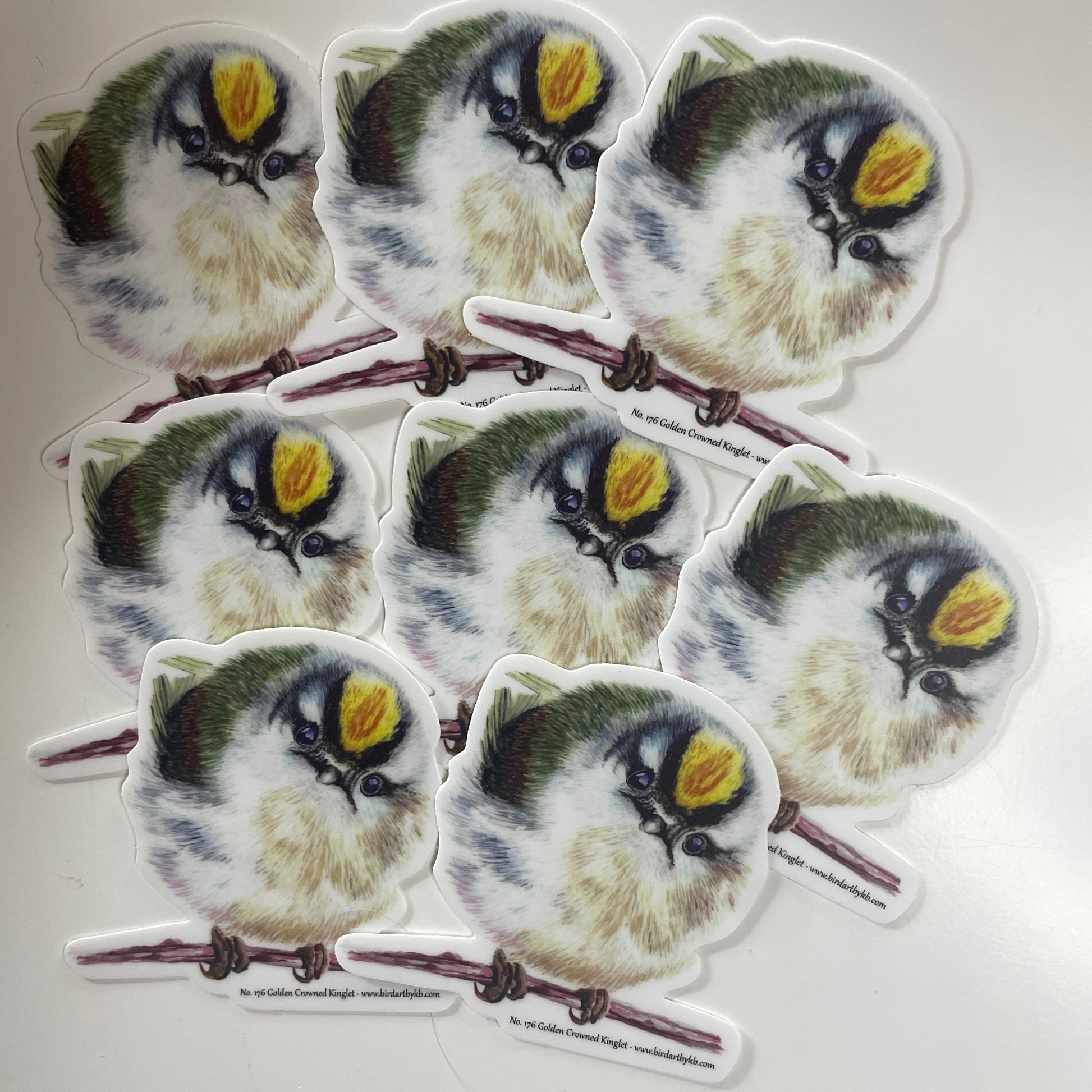 Golden-crowned Kinglet - Bird Art by KB - Sticker