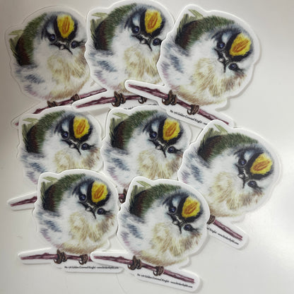 Golden-crowned Kinglet - Bird Art by KB - Sticker