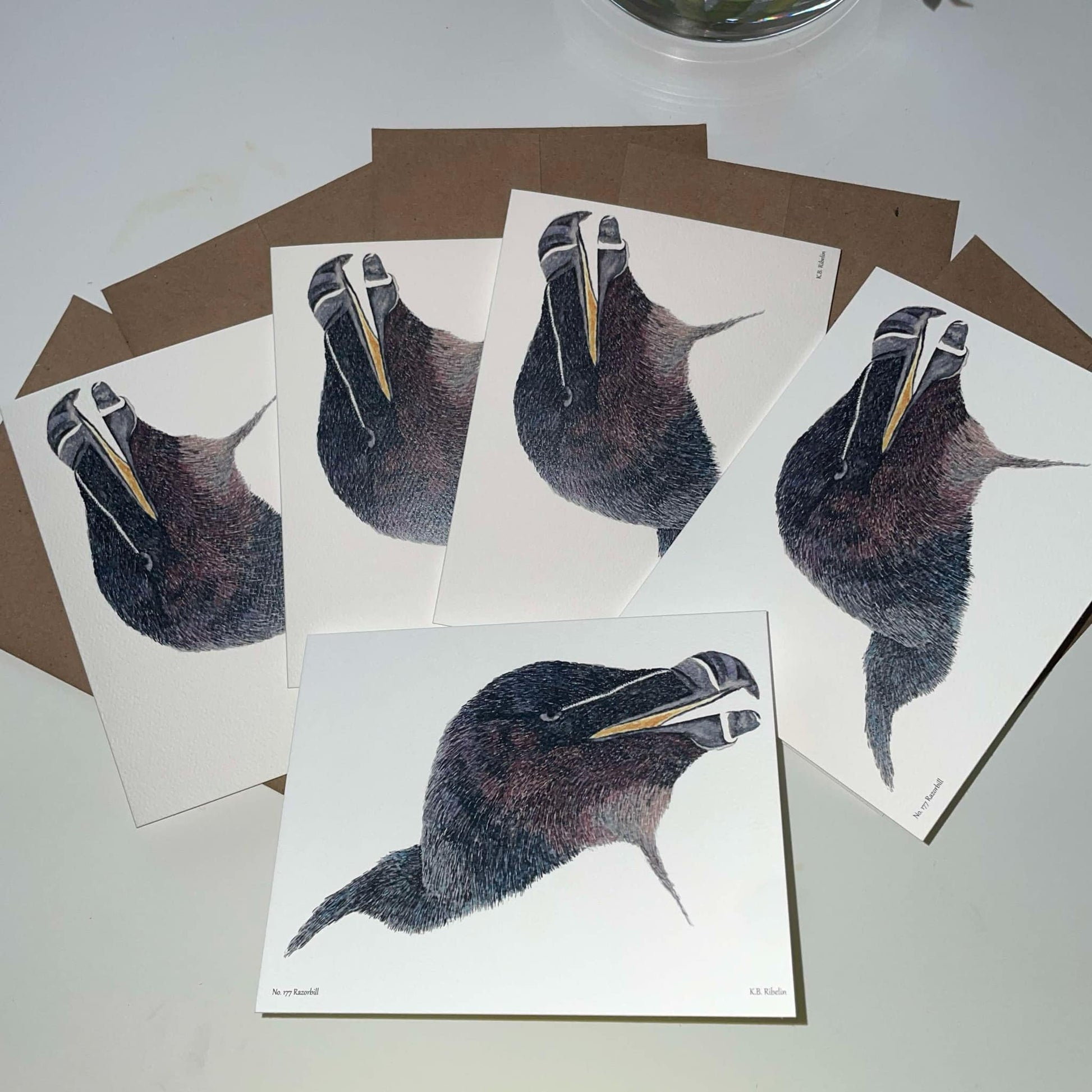 Razorbill - Bird Art by KB - Notecard Individual