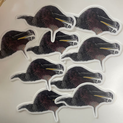 Razorbill - Bird Art by KB - Sticker
