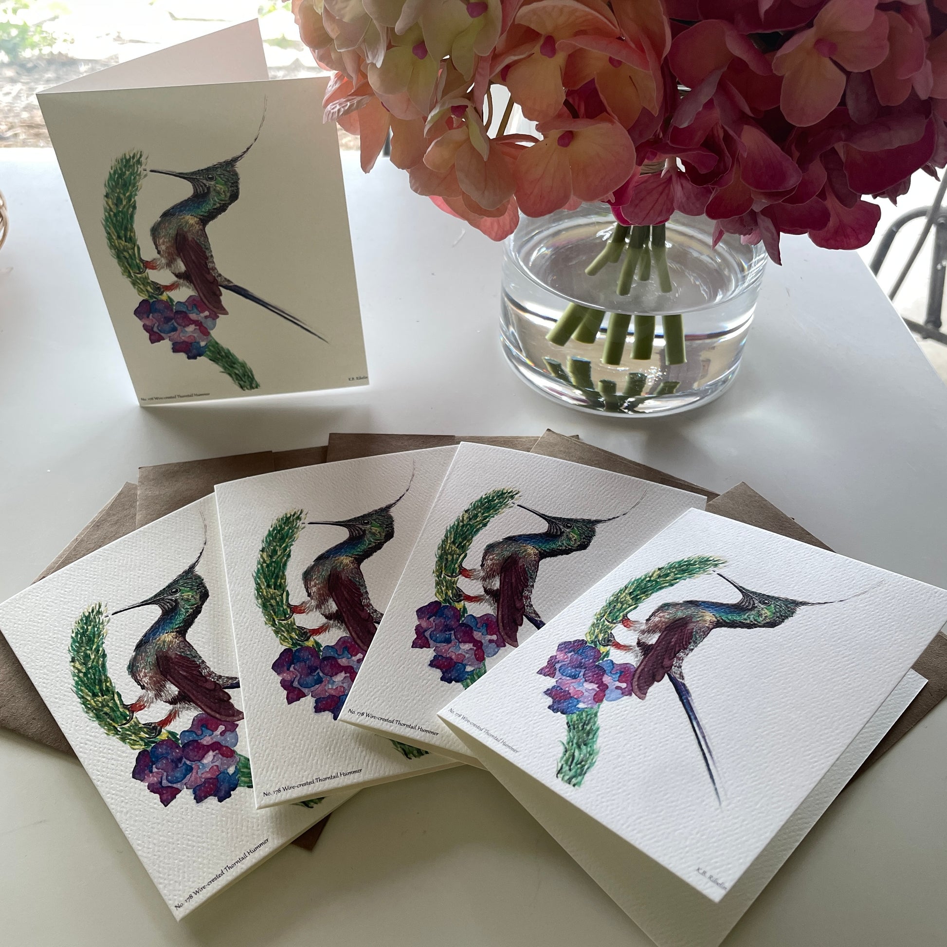 Wire-crested Thorntail Hummer - Bird Art by KB - Notecard Set