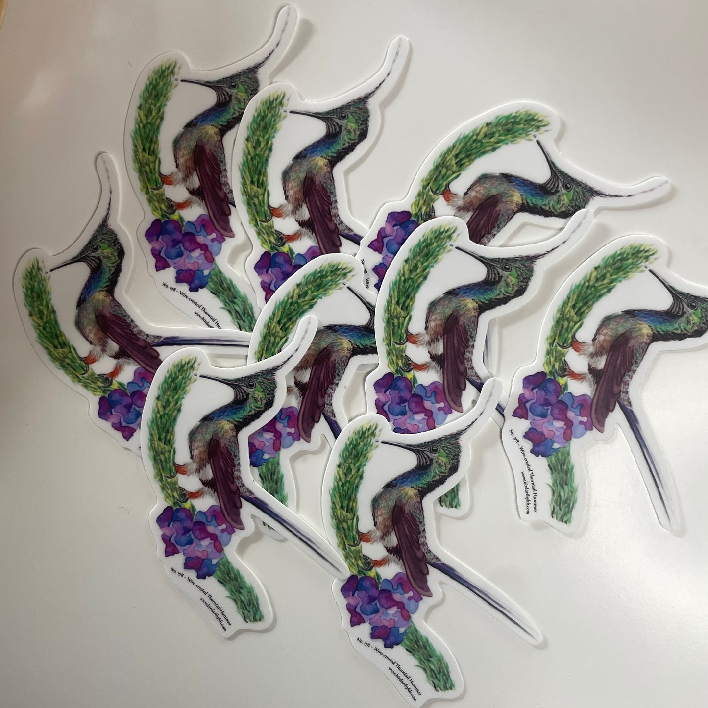 Wire-crested Thorntail Hummer - Bird Art by KB - Sticker