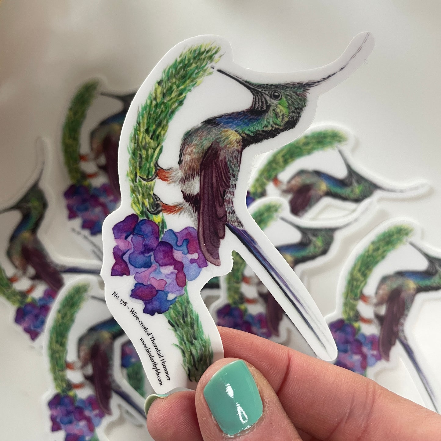 Wire-crested Thorntail Hummer - Bird Art by KB - Sticker
