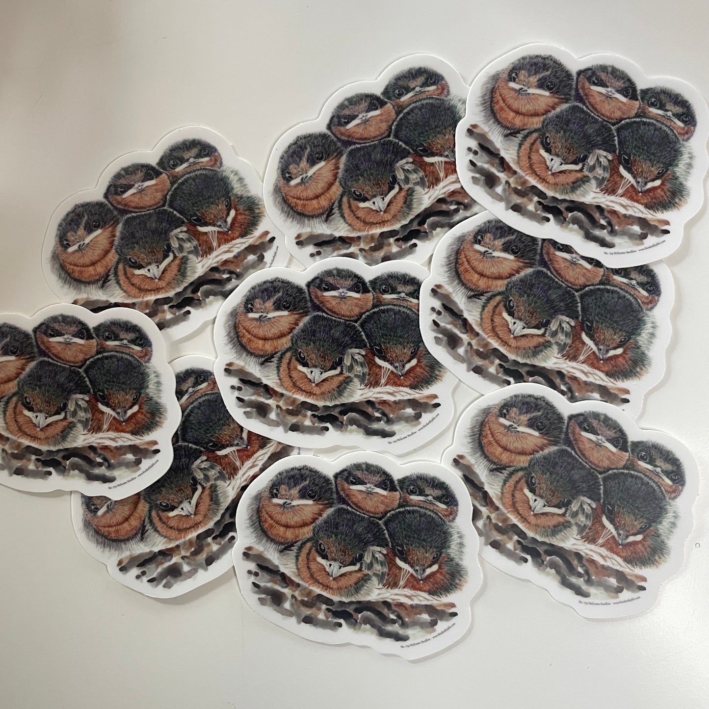 Welcome Swallows - Bird Art by KB - Sticker
