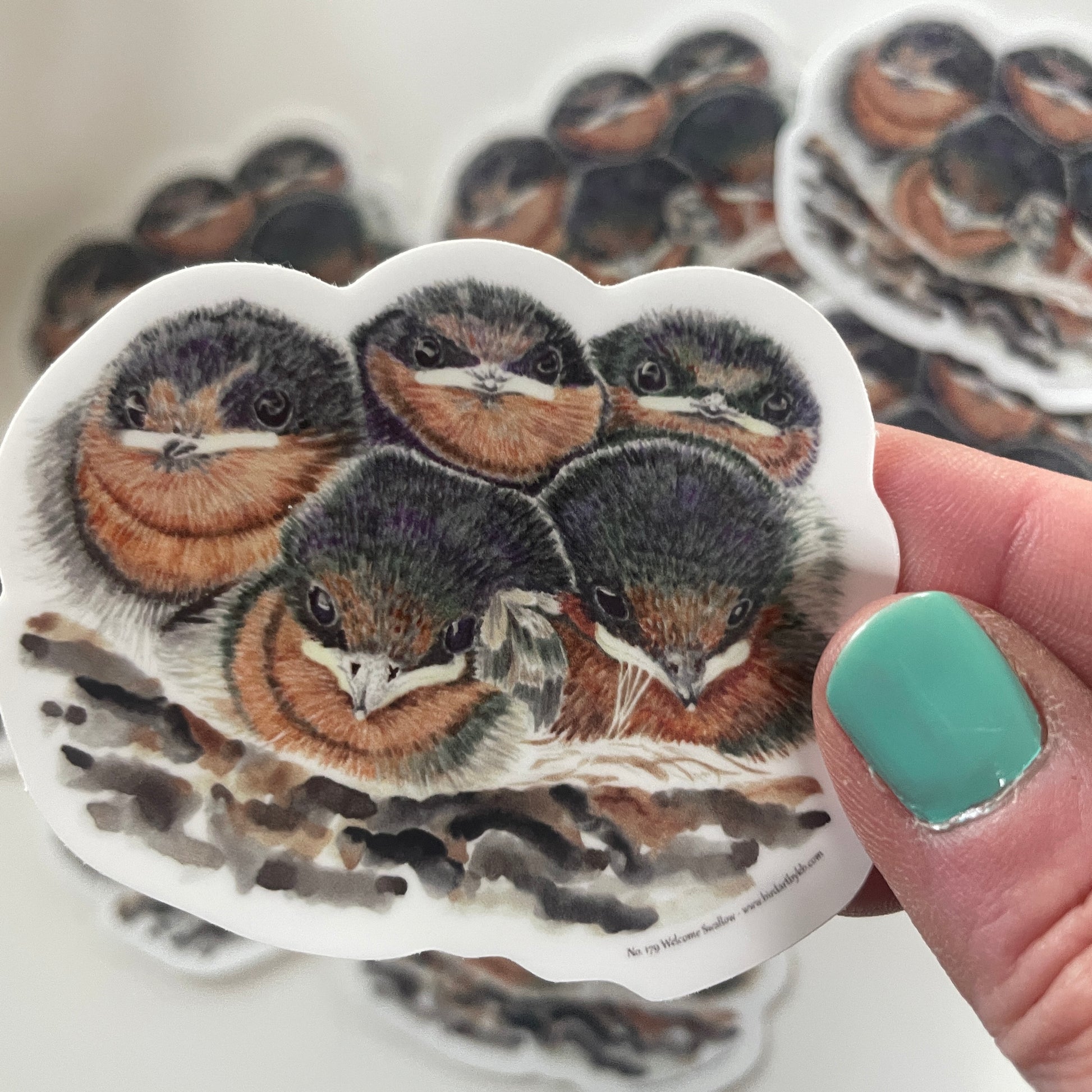 Welcome Swallows - Bird Art by KB - Sticker