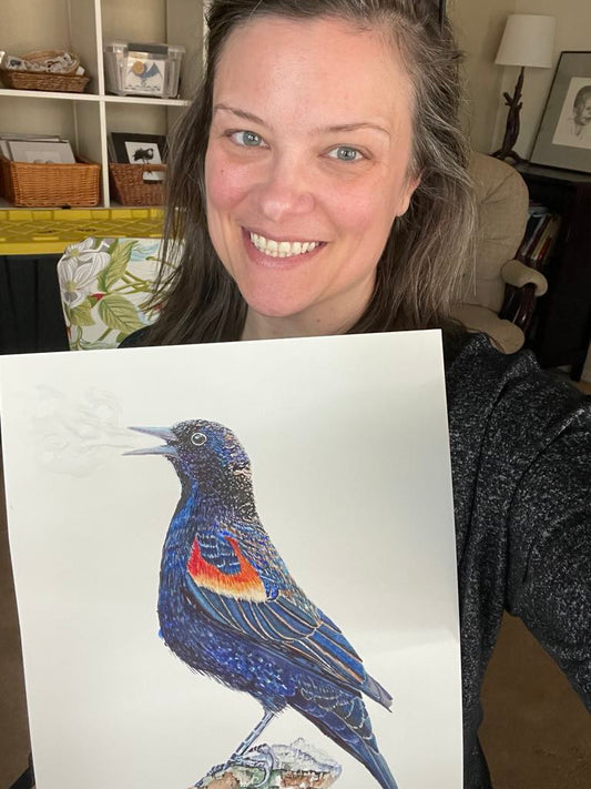 Red-winged Blackbird - Bird Art by KB - Original