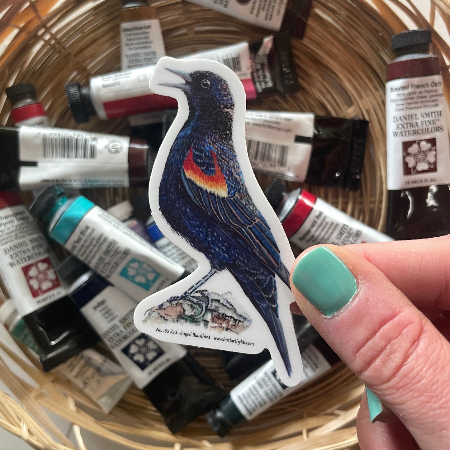 Red-winged Blackbird - Bird Art by KB - Sticker